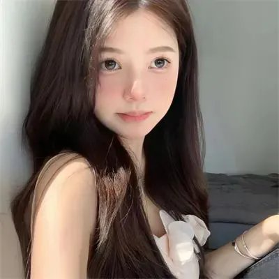 小象寻母